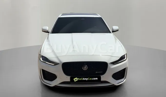carsDetail