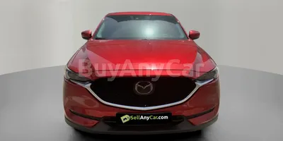 carsDetail
