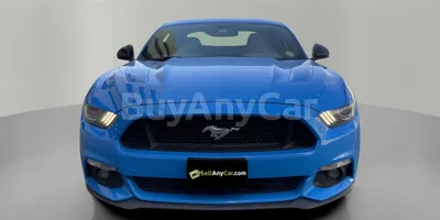 carsDetail