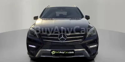 carsDetail