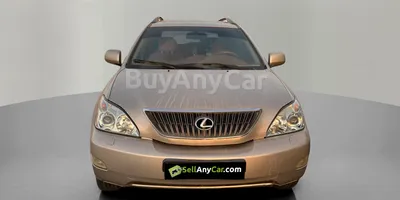 carsDetail