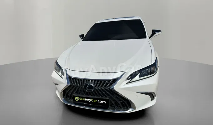 carsDetail