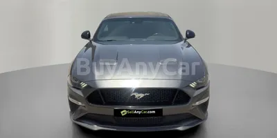 carsDetail