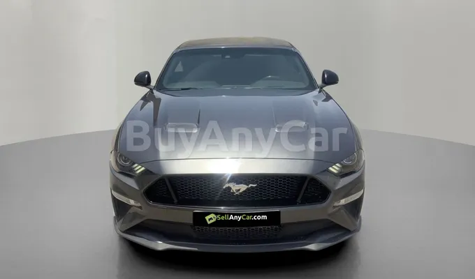 carsDetail