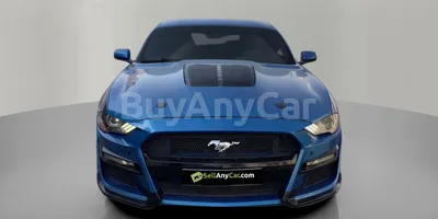 carsDetail