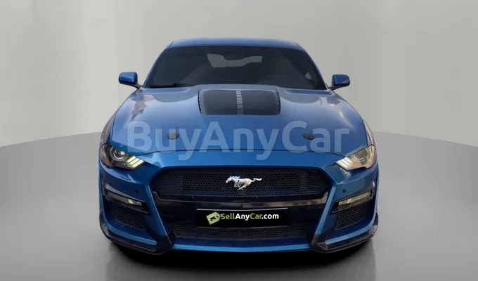 carsDetail