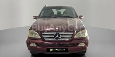 carsDetail