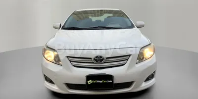 carsDetail