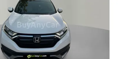carsDetail
