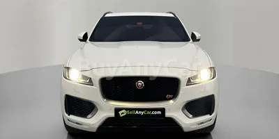 carsDetail