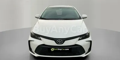 carsDetail