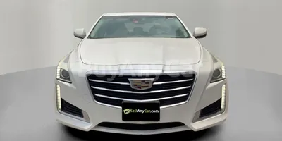 carsDetail