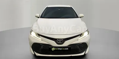 carsDetail