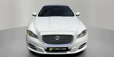 carsDetail