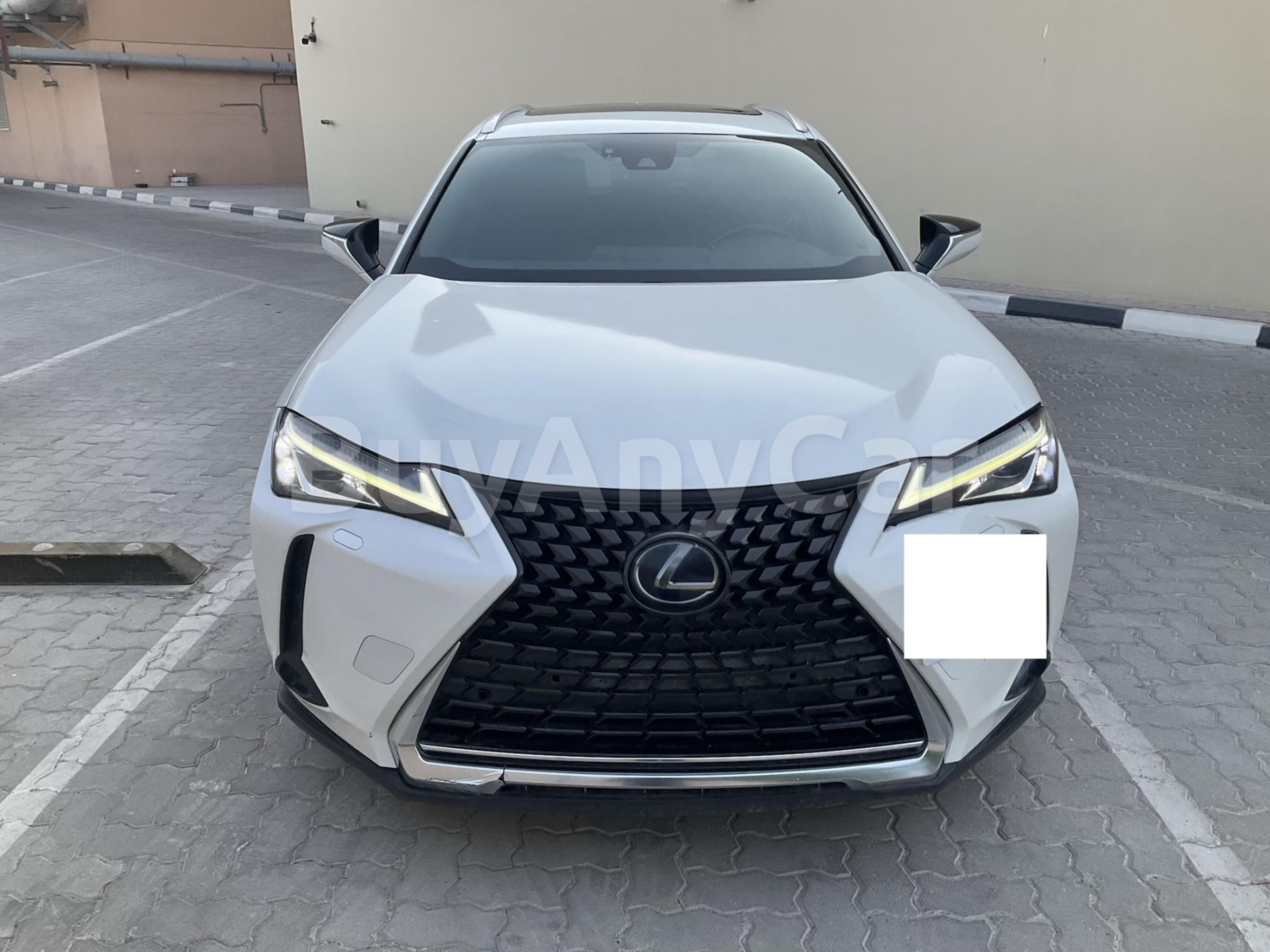2019 Lexus UX Series
