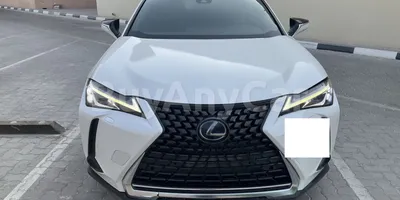 carsDetail