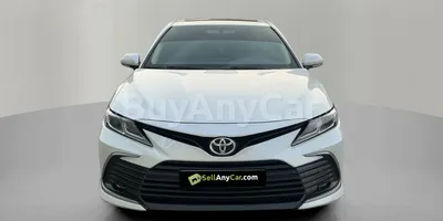 carsDetail