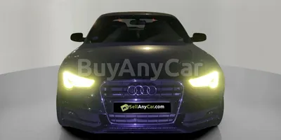 carsDetail