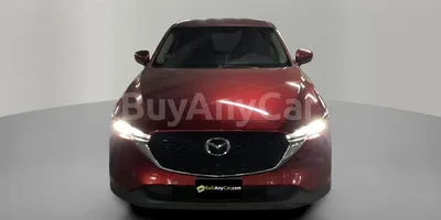 carsDetail