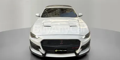 carsDetail