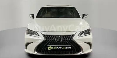 carsDetail