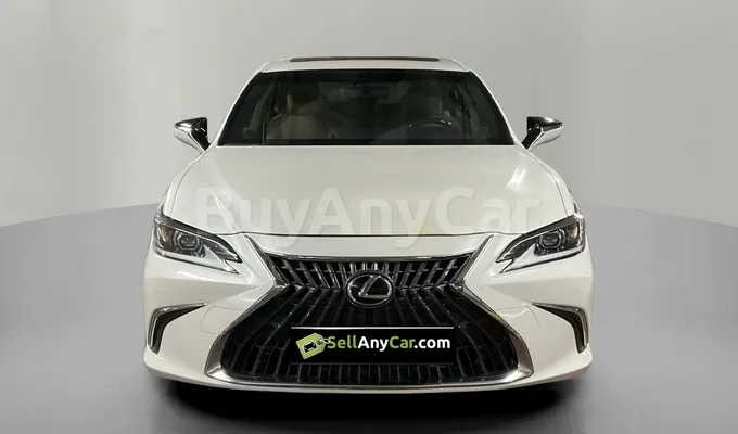 carsDetail