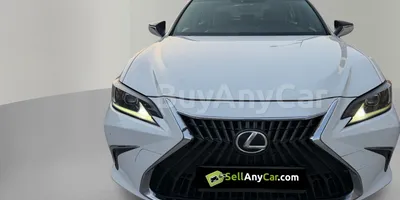 carsDetail