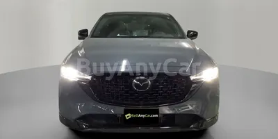 carsDetail