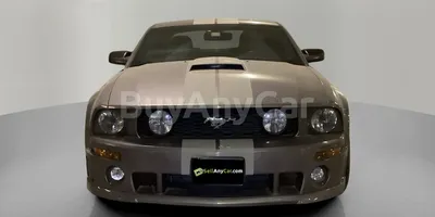 carsDetail