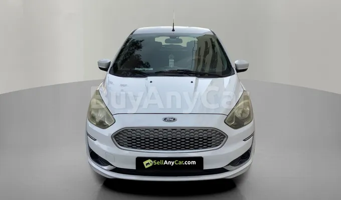 carsDetail