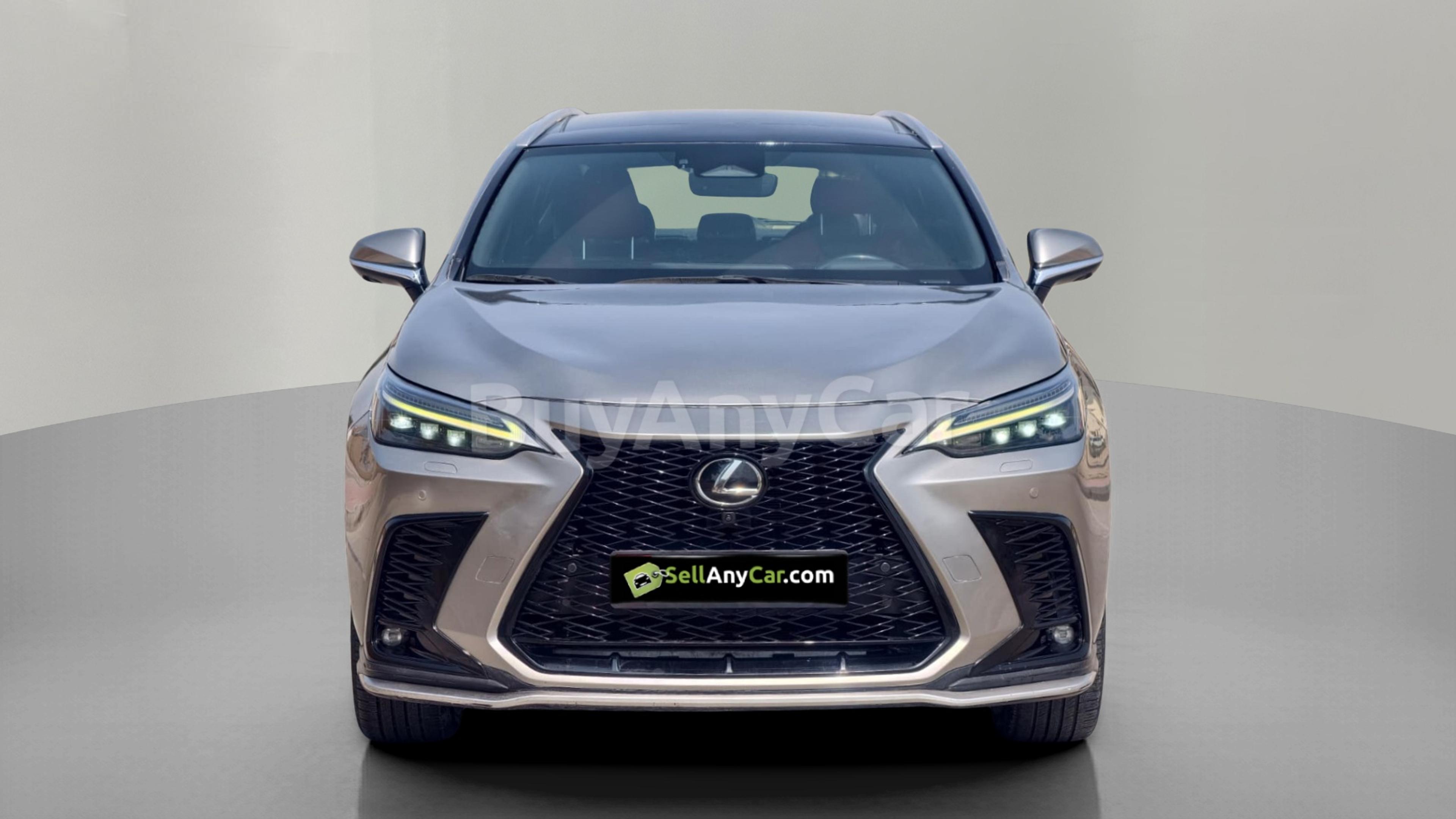 2025 Lexus NX