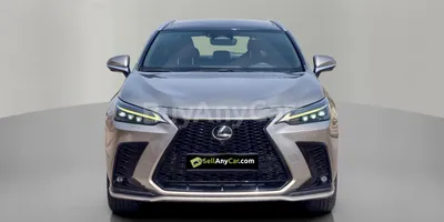 carsDetail
