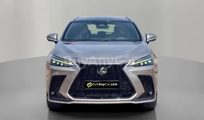 carsDetail