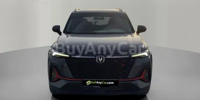 carsDetail