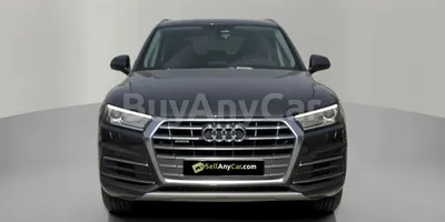 carsDetail