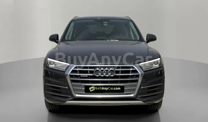 carsDetail