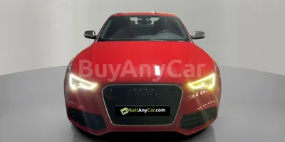 carsDetail