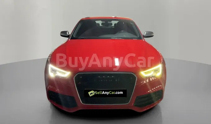 carsDetail