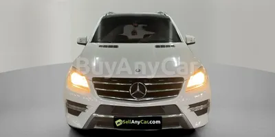 carsDetail