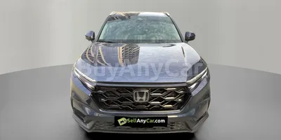 carsDetail