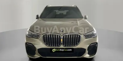 carsDetail