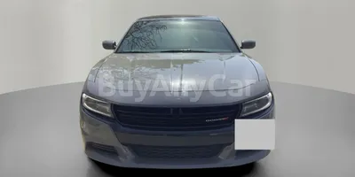 carsDetail