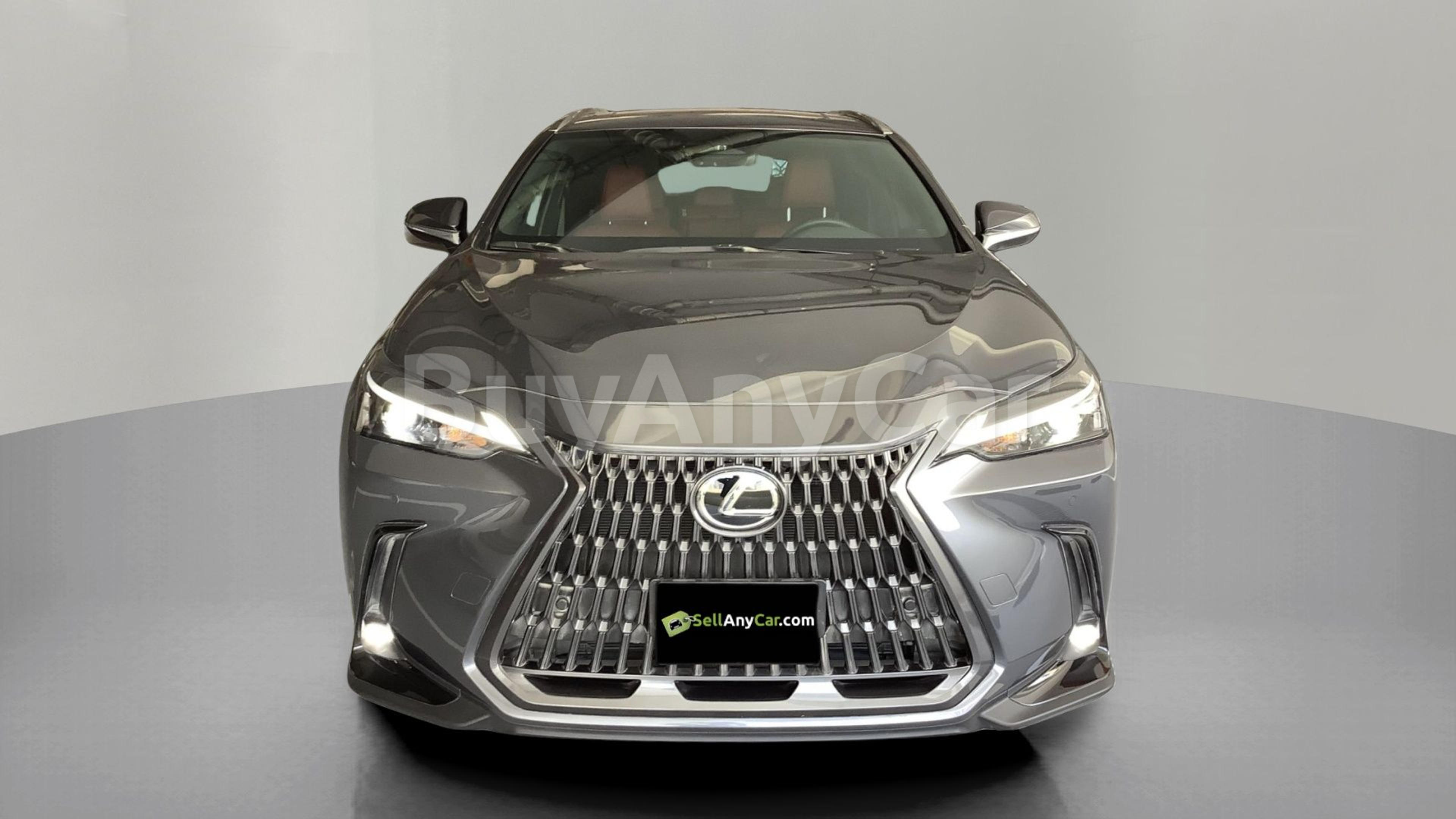 2025 Lexus NX