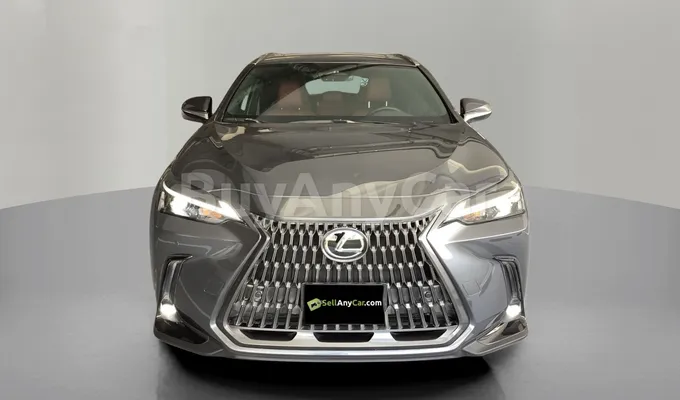 carsDetail