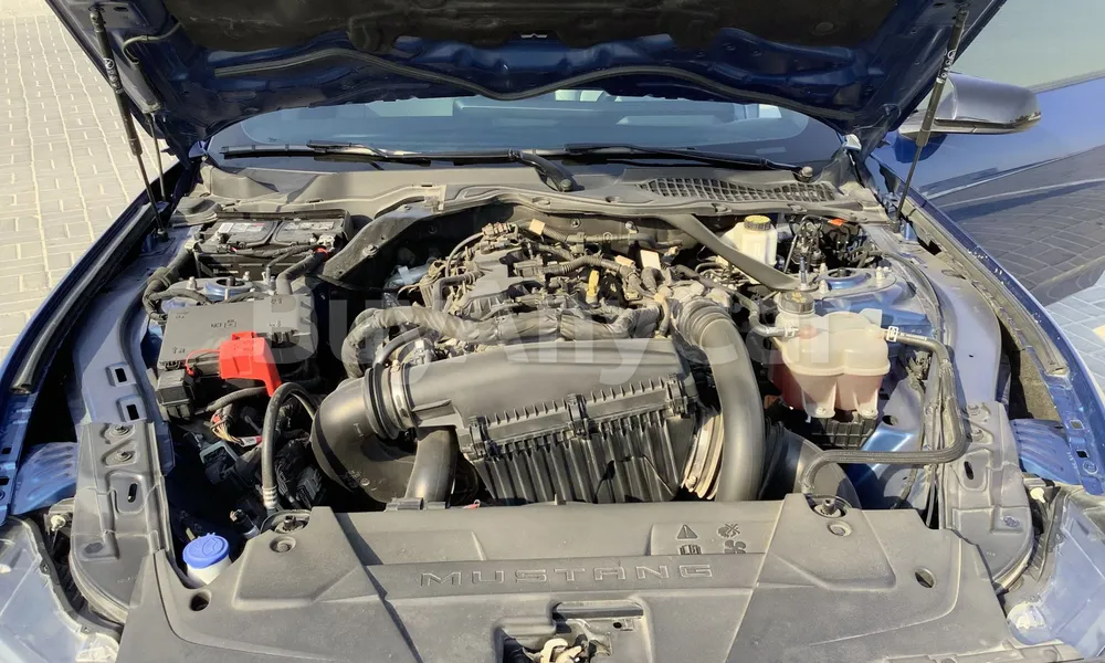 Vehicle photo 5