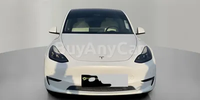 carsDetail