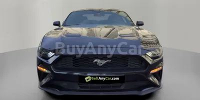 carsDetail