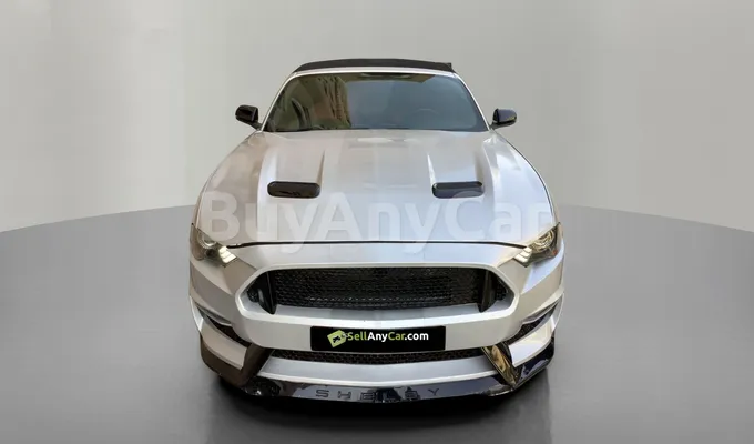 carsDetail