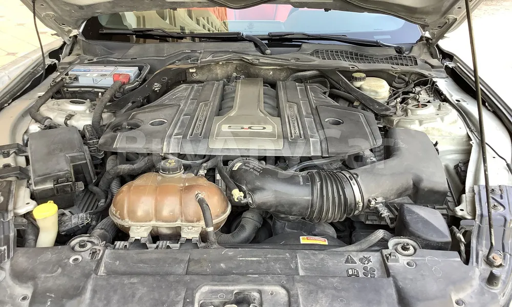 Vehicle photo 9