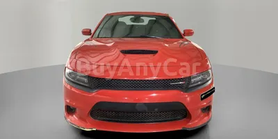 carsDetail